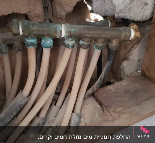 לפני